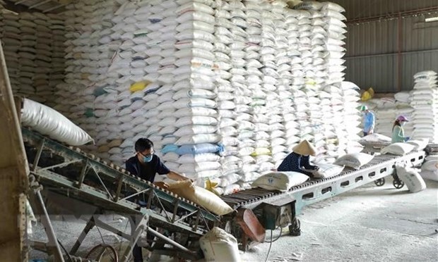 Over 130,000 tonnes of rice allocated to 24 pandemic-hit localities